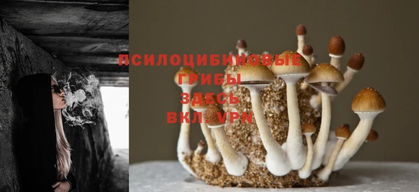 молекула духа Волосово