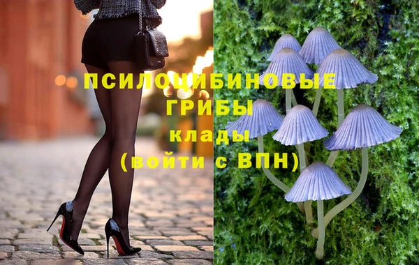 молекула духа Волосово
